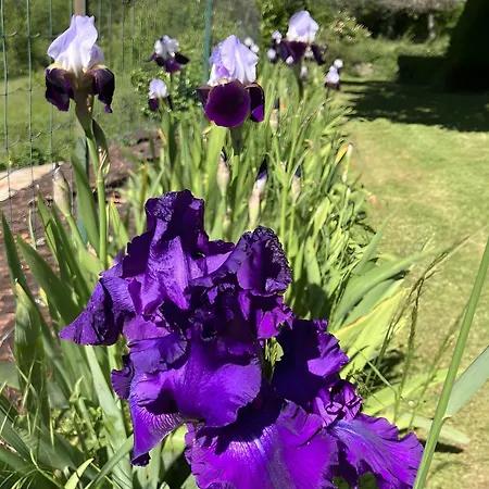 Сasa de vacaciones Echo Salignac Eyvigues